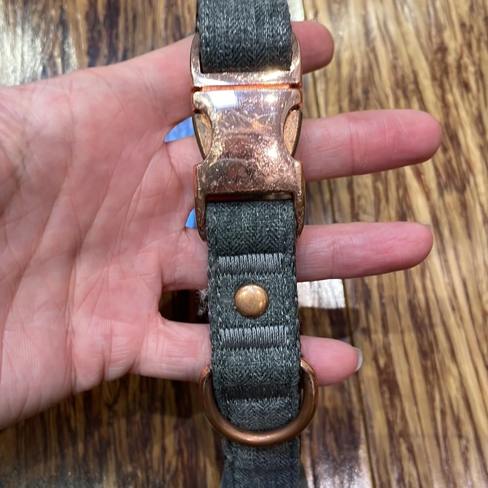 Gray rose gold adjustable dog collar 13-20”